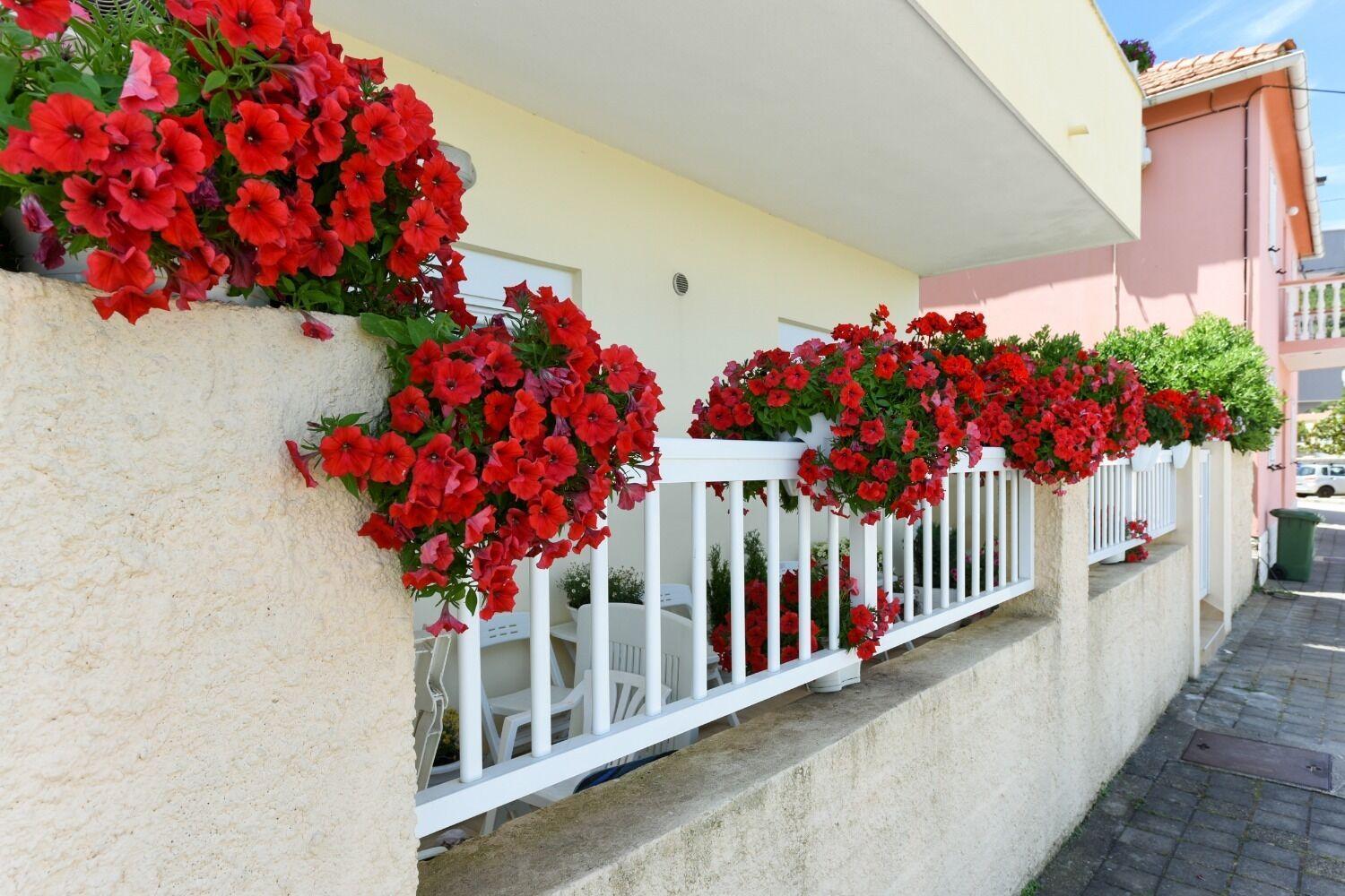 קאלי Apartments Kolt - 15M From Sea מראה חיצוני תמונה